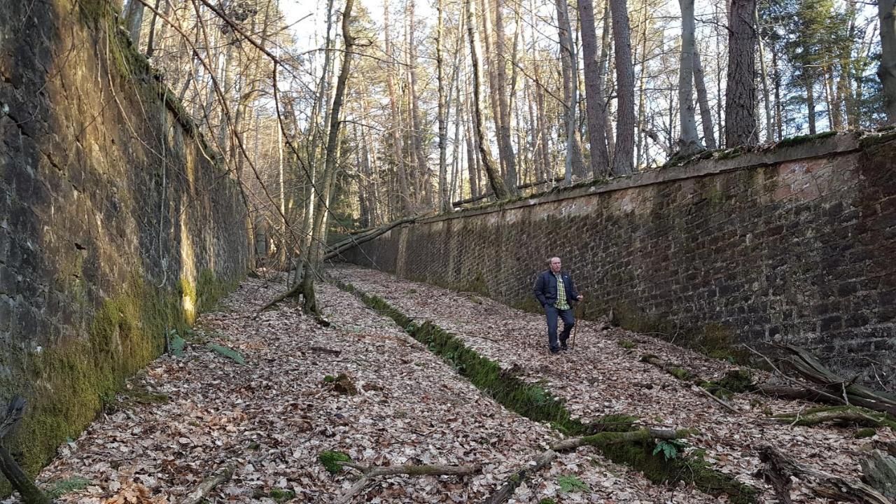 Chambre Avec Grand Lit Soultz-sous-Forets Luaran gambar